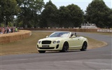 Bentley Continental Supersports Cabrio - 2010 HD Wallpaper #26