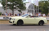 Bentley Continental Supersports Convertible - 2010 fondos de escritorio de alta definición #27