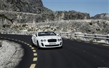 Bentley Continental Supersports Convertible - 2010 fondos de escritorio de alta definición #29