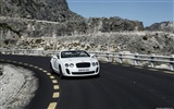 Bentley Continental Supersports Convertible - 2010 HD wallpaper #29