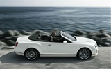 Bentley Continental Supersports Cabrio - 2010 HD Wallpaper #31