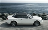 Bentley Continental Supersports Convertible - 2010 賓利 #32