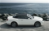 Bentley Continental Supersports Cabrio - 2010 HD Wallpaper #32