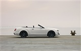 Bentley Continental Supersports Convertible - 2010 宾利33