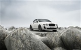 Bentley Continental Supersports Convertible - 2010 fondos de escritorio de alta definición #35