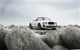 Bentley Continental Supersports Convertible - 2010 fondos de escritorio de alta definición #36
