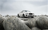 Bentley Continental Supersports Cabrio - 2010 HD Wallpaper #36