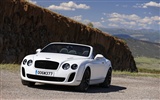 Bentley Continental Supersports Convertible - 2010 fonds d'écran HD #37