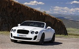 Bentley Continental Supersports Convertible - 2010 HD wallpaper #37