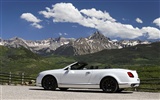 Bentley Continental Supersports Convertible - 2010 fondos de escritorio de alta definición #38