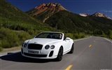 Bentley Continental Supersports Convertible - 2010 fondos de escritorio de alta definición #39