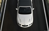 Bentley Continental Supersports Convertible - 2010 宾利45