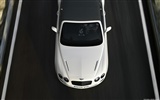 Bentley Continental Supersports Cabrio - 2010 HD Wallpaper #45