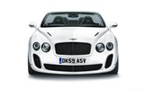 Bentley Continental Supersports Cabrio - 2010 HD Wallpaper #52