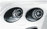 Bentley Continental Supersports Convertible - 2010 HD wallpaper #58
