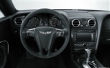 Bentley Continental Supersports Cabrio - 2010 HD Wallpaper #62