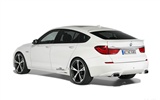 ACシュニッツァーBMWの5シリーズグランツーリスモ-2010のHDの壁紙 #3