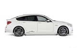 ACシュニッツァーBMWの5シリーズグランツーリスモ-2010のHDの壁紙 #6