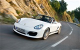 포르쉐 Boxster 스파이더 - 2010의 HD 벽지 #7