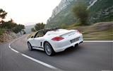 Porsche Boxster Spyder - 2010 HD tapetu #8