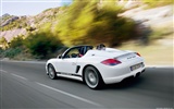 Porsche Boxster Spyder - 2010 HD tapetu #9