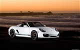 포르쉐 Boxster 스파이더 - 2010의 HD 벽지 #13