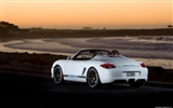 포르쉐 Boxster 스파이더 - 2010의 HD 벽지 #14