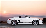 Porsche Boxster Spyder - 2010 fondos de escritorio de alta definición #15
