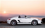 Porsche Boxster Spyder - 2010 HD tapetu #15