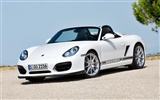 포르쉐 Boxster 스파이더 - 2010의 HD 벽지 #16