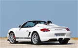 포르쉐 Boxster 스파이더 - 2010의 HD 벽지 #17