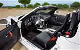 Porsche Boxster Spyder - 2010 fondos de escritorio de alta definición #22