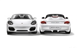 포르쉐 Boxster 스파이더 - 2010의 HD 벽지 #27