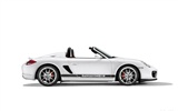 Porsche Boxster Spyder - 2010 HD tapetu #28