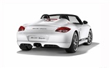 Porsche Boxster Spyder - 2010 HD обои #30