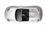 Porsche Boxster Spyder - 2010 HD обои #31