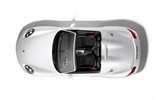 Porsche Boxster Spyder - 2010 HD tapetu #31