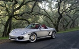 Porsche Boxster Spyder - 2010 fondos de escritorio de alta definición #36