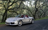 포르쉐 Boxster 스파이더 - 2010의 HD 벽지 #36