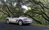 Porsche Boxster Spyder - 2010 fonds d'écran HD #37