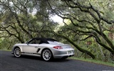 포르쉐 Boxster 스파이더 - 2010의 HD 벽지 #38