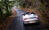 포르쉐 Boxster 스파이더 - 2010의 HD 벽지 #41