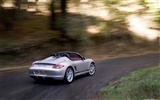 Porsche Boxster Spyder - 2010 fondos de escritorio de alta definición #44