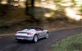 Porsche Boxster Spyder - 2010 HD tapetu #44