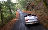 Porsche Boxster Spyder - 2010 fondos de escritorio de alta definición #45