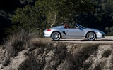 Porsche Boxster Spyder - 2010 HD обои #48