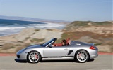 Porsche Boxster Spyder - 2010 HD обои #49