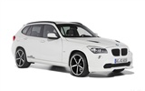 ACシュニッツァーBMWのX1の-2010のHDの壁紙 #2