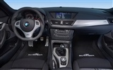 AC Schnitzer BMW X1 - 2010 fondos de escritorio de alta definición #10