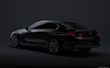 BMW Concept Gran Coupe - 2010 宝马2